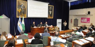 Los concejales repudiaron el abuso policial con la joven madre