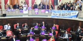 El Senado bonaerense dio luz verde a la paridad de género