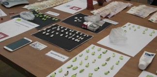 La Policía desbarató una banda de travestis narcotraficantes