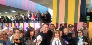 Katopodis: “Trabajo para gobernar cuatro años más”