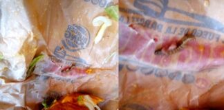 Gusanos en una hamburguesa de local de comidas rápidas