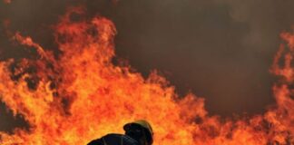 El año que media Argentina se prendió fuego