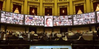 Media sanción en Diputados del impuesto a la riqueza