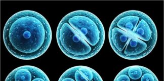 Acuerdo entre OSDEPYM y MaterCell