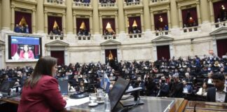 La hora de Cecilia Moreau en Diputados