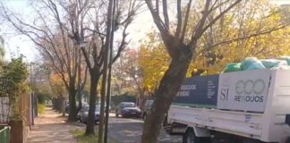 Plan de sustentabilidad en SI