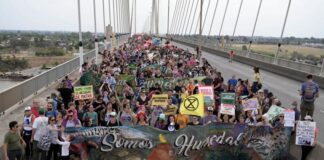 Más de 500 organizaciones se movilizaron por la Ley de Humedales