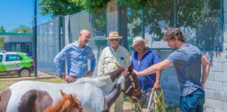 Liberaron dos caballos a cambio de una moto eléctrica