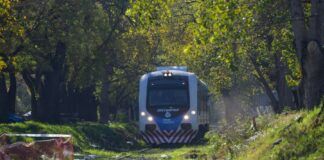 Hicieron viaje de prueba del tren San Martín hacia el oeste