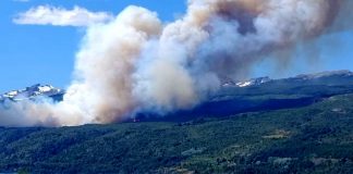 Ley Bases, no verde: rotundo rechazo de Greenpeace