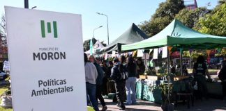 Actividades municipales en el Día Mundial del Ambiente