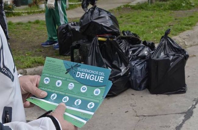 dengue-foto