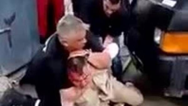 pelea-tigre