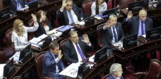 El Senado convirtió en ley la emergencia alimentaria