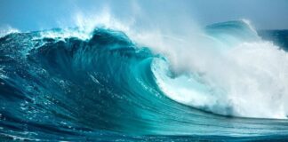 Fondo oceánico: avance para la humanidad o peligro de su exterminio