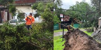 Respuestas de municipios después del temporal