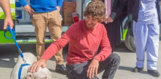 San Fernando prohibió la venta de animales en comercios